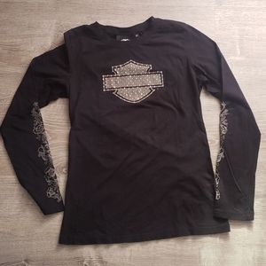 Harley Davidson hearthside